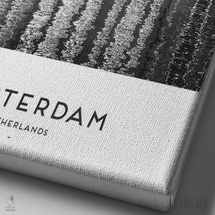 تابلو دکوراتیو آمستردام هلند سیاه و سفید اثر نائومی دیویس - نمای نزدیک بافت بوم