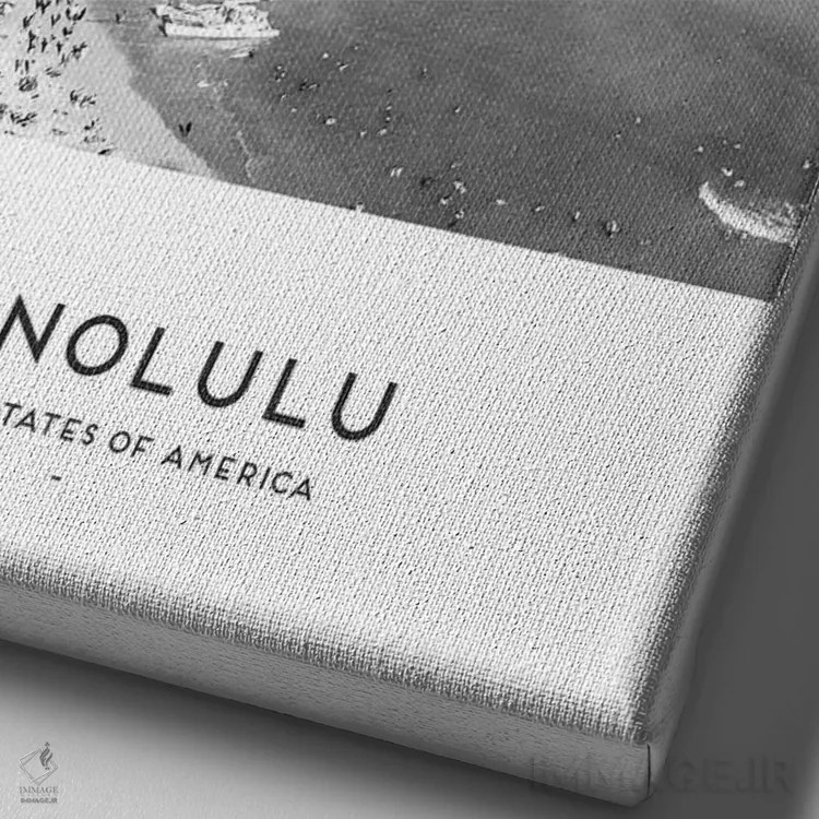 تابلو دکوراتیو هونولولو هاوایی اثر نائومی دیویس - نمای نزدیک بافت بوم