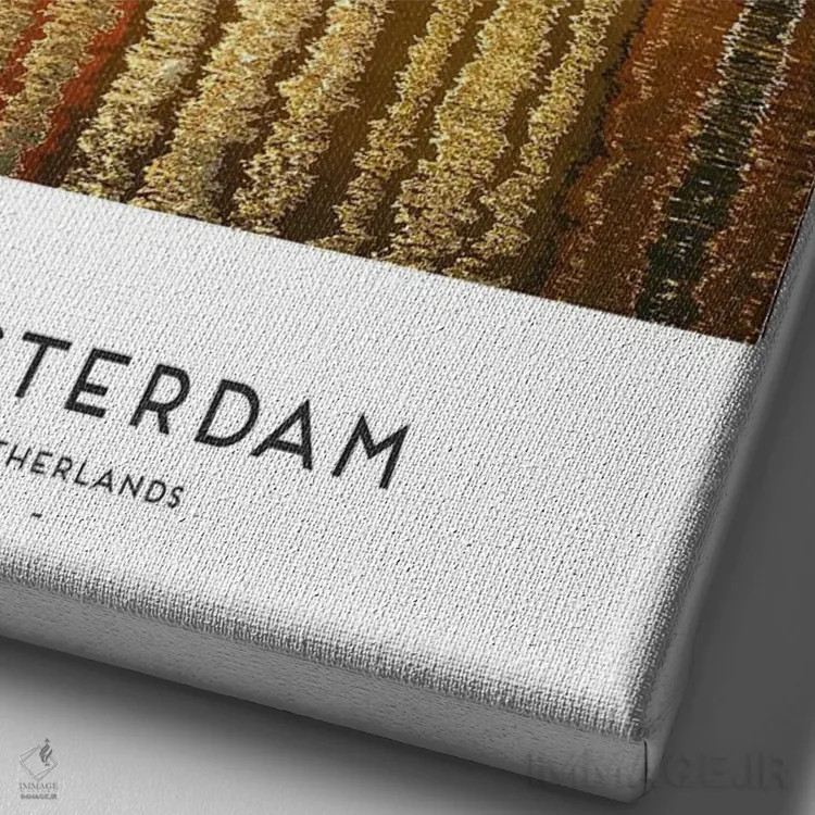 تابلو دکوراتیو آمستردام هلند اثر نائومی دیویس - نمای نزدیک بافت بوم