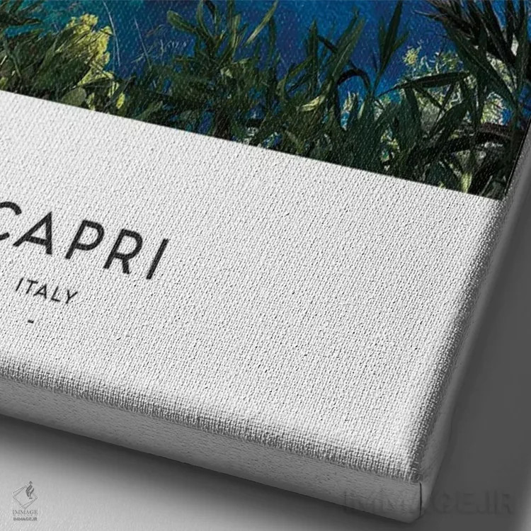 تابلو دکوراتیو کاپری ایتالیا اثر نائومی دیویس - نمای نزدیک بافت بوم