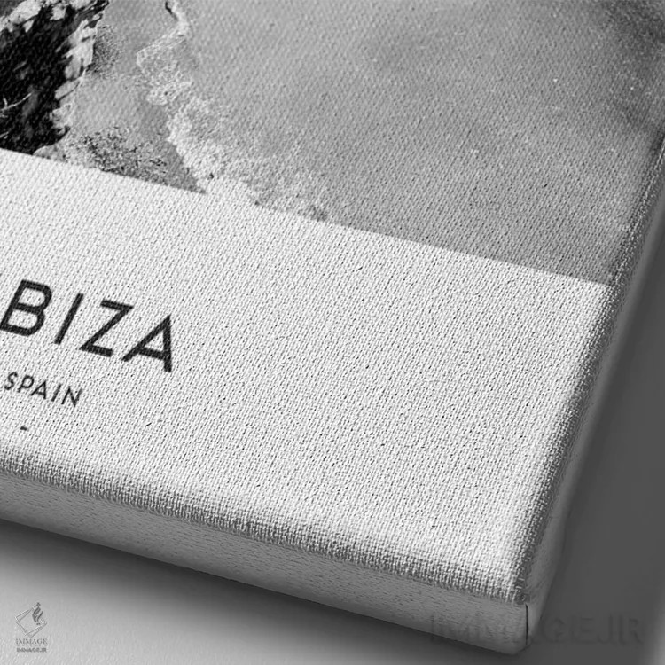 تابلو دکوراتیو ایبیزا اسپانیا اثر نائومی دیویس - نمای نزدیک بافت بوم