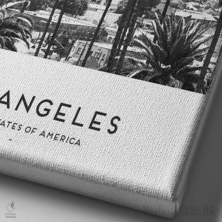 تابلو دکوراتیو لس آنجلس آمریکا اثر نائومی دیویس - نمای نزدیک بافت بوم