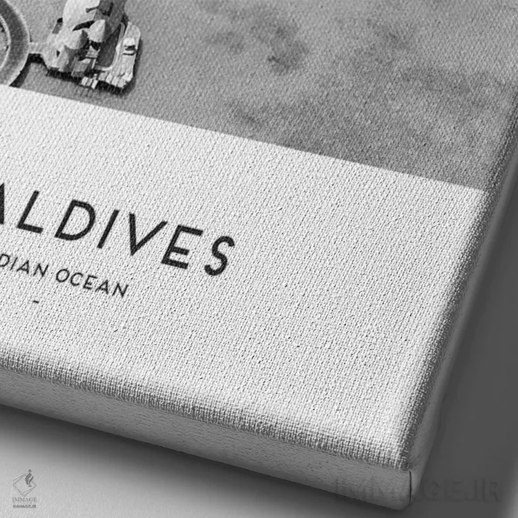 تابلو دکوراتیو مالدیو اثر نائومی دیویس - نمای نزدیک بافت بوم