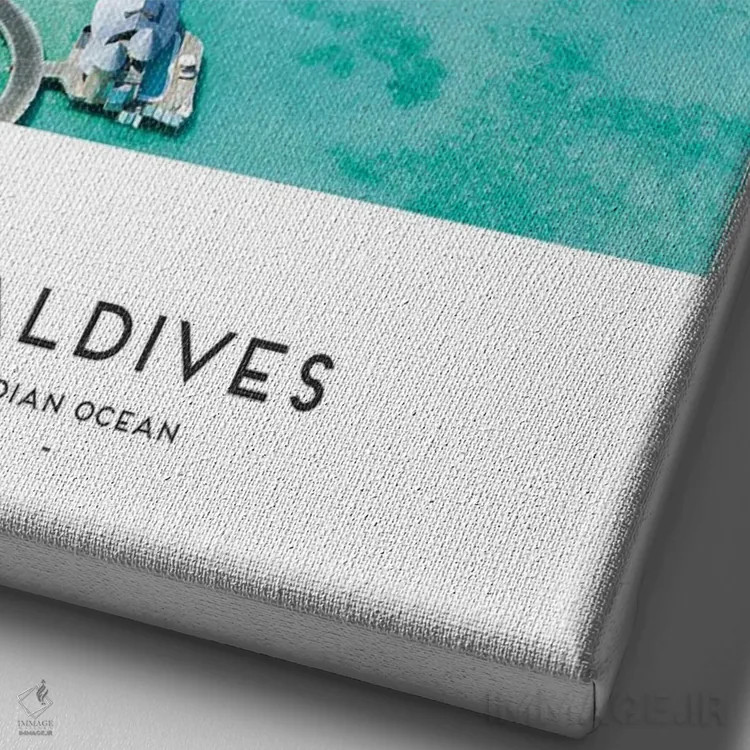 تابلو دکوراتیو مالدیو اثر نائومی دیویس - نمای نزدیک بافت بوم