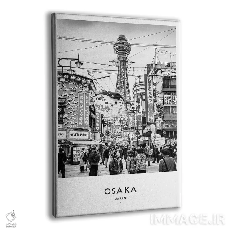 تابلو دکوراتیو اوساکا ژاپن اثر نائومی دیویس - نمای پرسپکتیو محصول