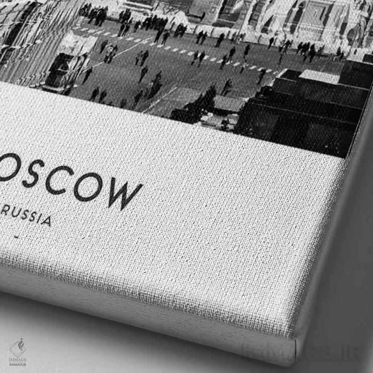 تابلو دکوراتیو مسکو روسیه اثر نائومی دیویس - نمای نزدیک بافت بوم