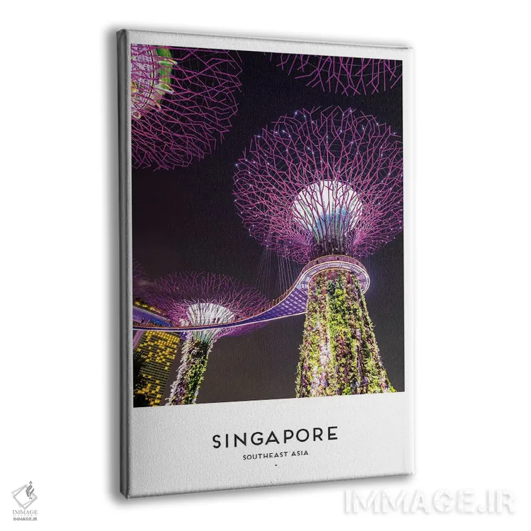 تابلو دکوراتیو سنگاپور اثر نائومی دیویس - نمای پرسپکتیو محصول