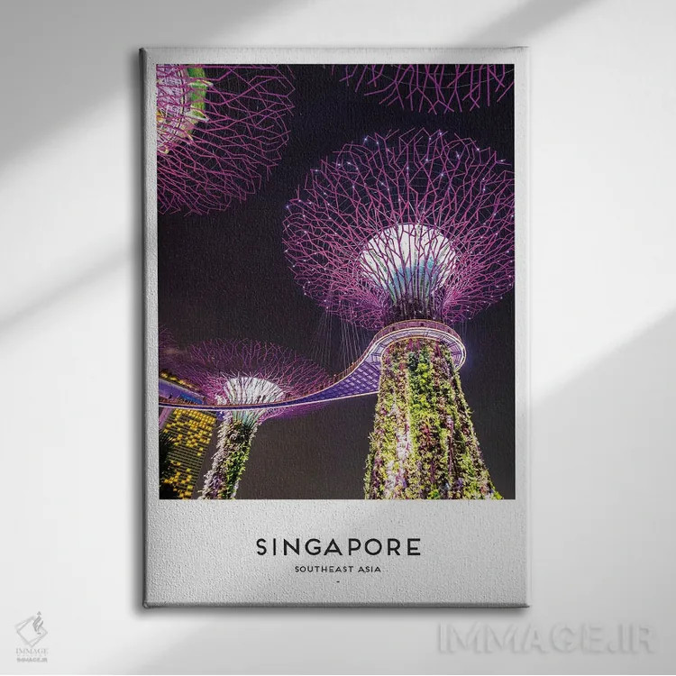 تابلو دکوراتیو سنگاپور اثر نائومی دیویس - نمای روبهرو روی دیوار