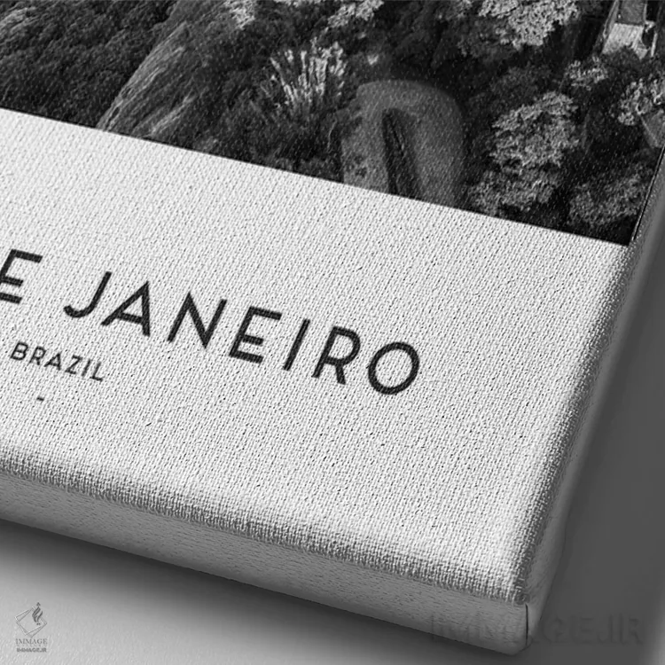 تابلو دکوراتیو ریو برزیل اثر نائومی دیویس - نمای نزدیک بافت بوم