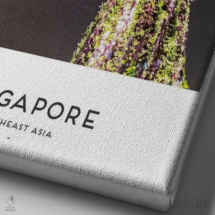 تابلو دکوراتیو سنگاپور اثر نائومی دیویس - نمای نزدیک بافت بوم