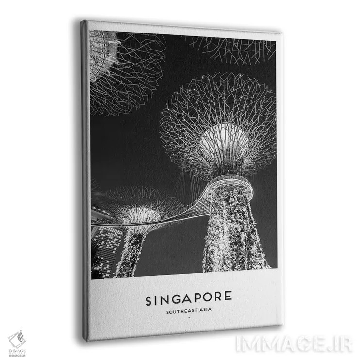 تابلو دکوراتیو سنگاپور اثر نائومی دیویس - نمای پرسپکتیو محصول