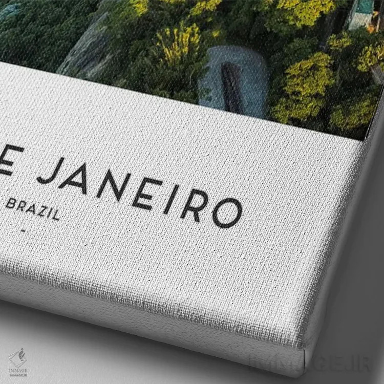 تابلو دکوراتیو ریو برزیل اثر نائومی دیویس - نمای نزدیک بافت بوم