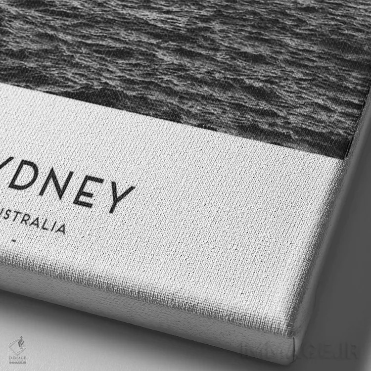 تابلو دکوراتیو سیدنی استرالیا اثر نائومی دیویس - نمای نزدیک بافت بوم