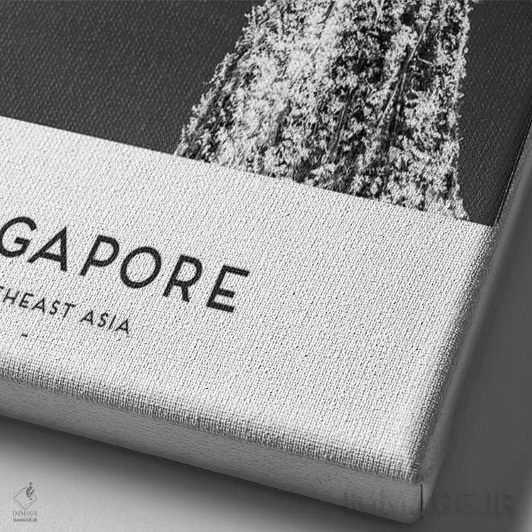 تابلو دکوراتیو سنگاپور اثر نائومی دیویس - نمای نزدیک بافت بوم