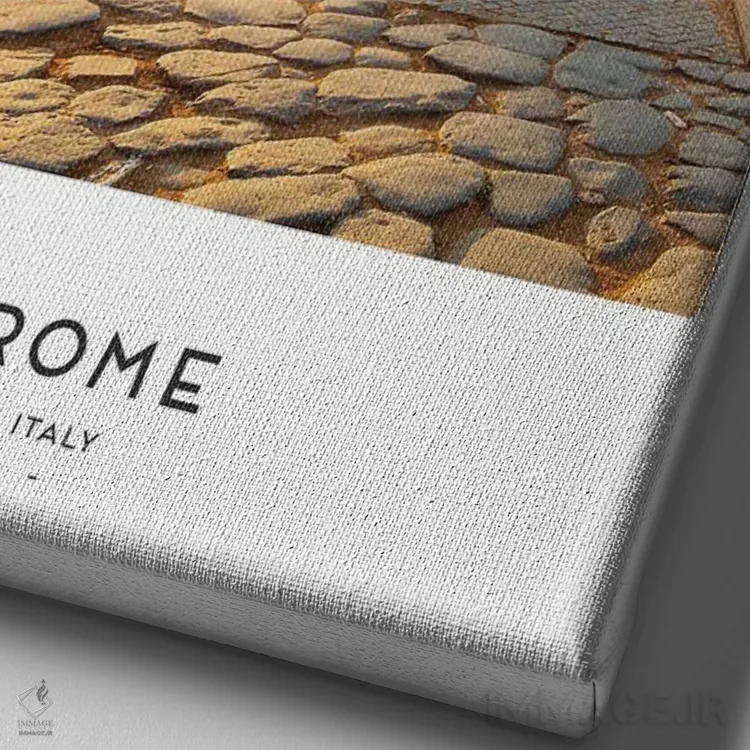 تابلو دکوراتیو رم ایتالیا اثر نائومی دیویس - نمای نزدیک بافت بوم