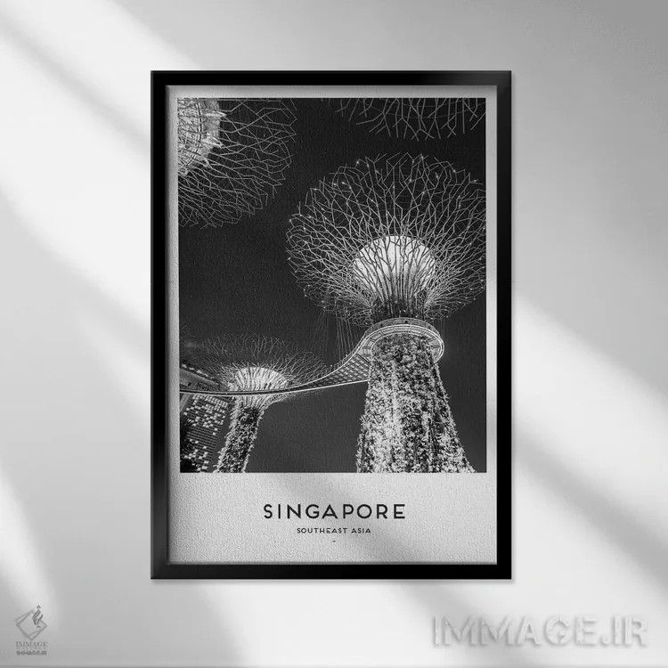 تابلو دکوراتیو سنگاپور اثر نائومی دیویس - نمای قابدار مشکی