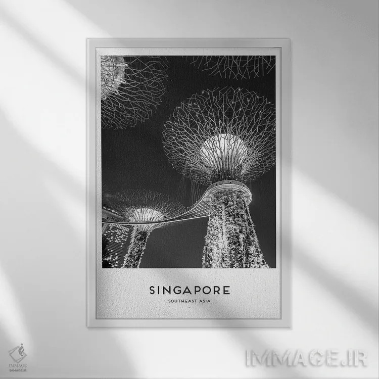 تابلو دکوراتیو سنگاپور اثر نائومی دیویس - نمای قابدار سفید