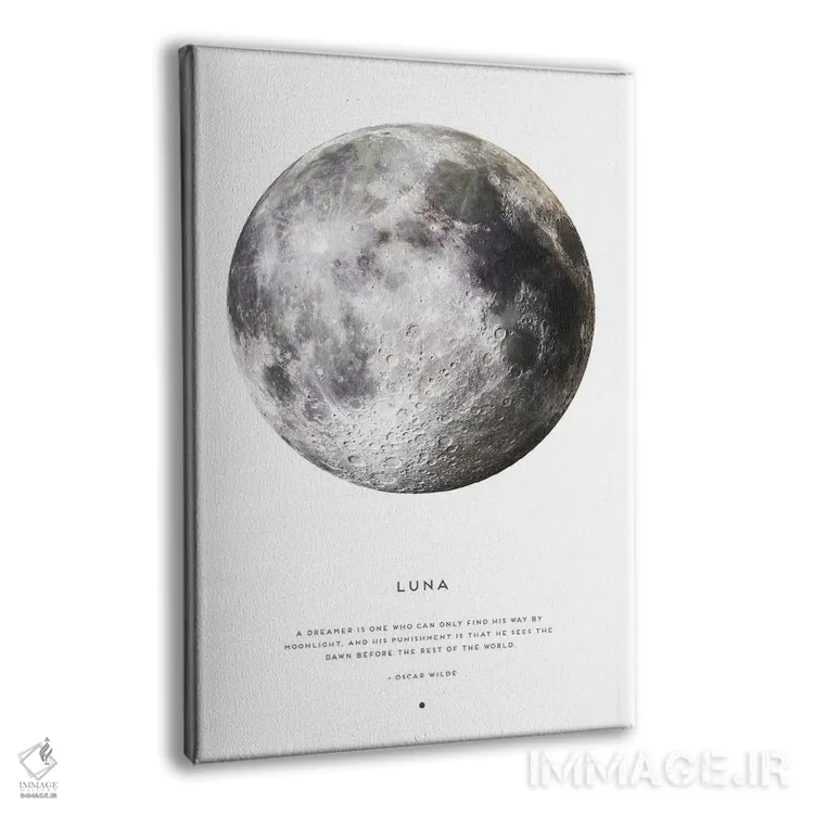 تابلو دکوراتیو لونا اثر نائومی دیویس - نمای پرسپکتیو محصول