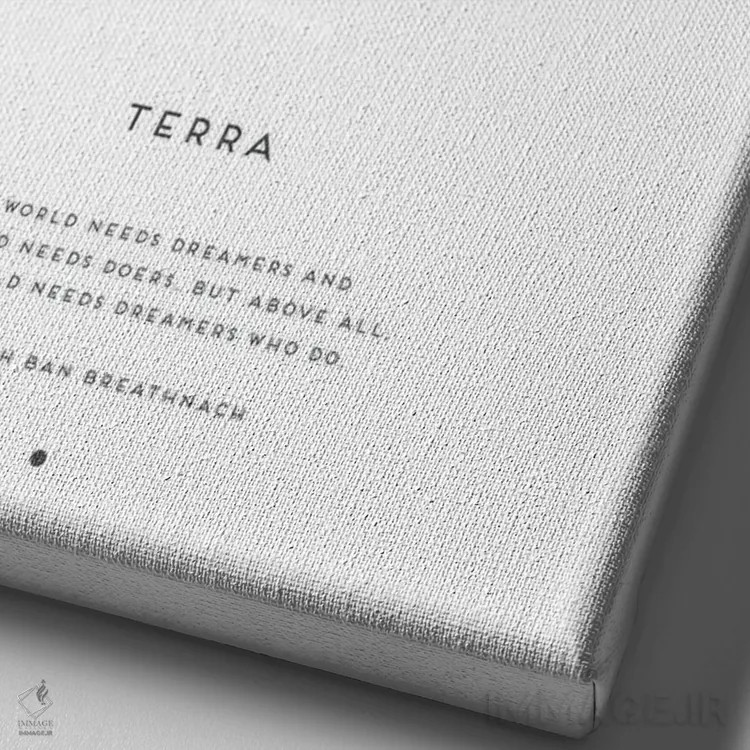 تابلو دکوراتیو ترا اثر نائومی دیویس - نمای نزدیک بافت بوم