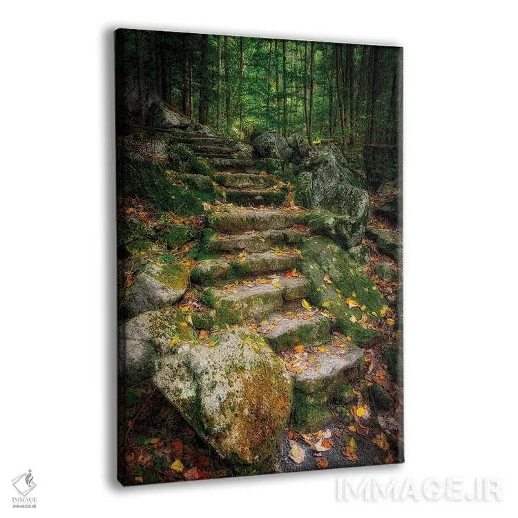 تابلو دکوراتیو Virginia, Blue Ridge Parkway,پله ها به آبشار ویگوام، ویرجینیا… اثر آنا میلر - نمای پرسپکتیو محصول
