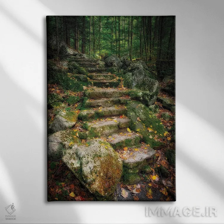 تابلو دکوراتیو Virginia, Blue Ridge Parkway,پله ها به آبشار ویگوام، ویرجینیا… اثر آنا میلر - نمای روبهرو روی دیوار