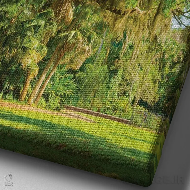 تابلو دکوراتیو Florida. Tropical garden with palm trees and living oak covere… اثر آنا میلر - نمای نزدیک بافت بوم