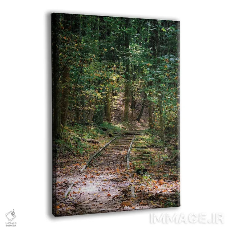 تابلو دکوراتیو Virginia, Blue Ridge Parkway,آبشار ویگوام، ویرجینیا، پارک وی ب… اثر آنا میلر - نمای پرسپکتیو محصول