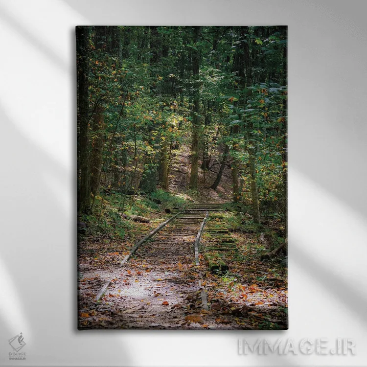 تابلو دکوراتیو Virginia, Blue Ridge Parkway,آبشار ویگوام، ویرجینیا، پارک وی ب… اثر آنا میلر - نمای روبهرو روی دیوار