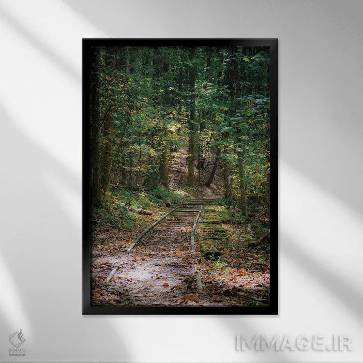 تابلو دکوراتیو Virginia, Blue Ridge Parkway,آبشار ویگوام، ویرجینیا، پارک وی ب… اثر آنا میلر - نمای قابدار مشکی