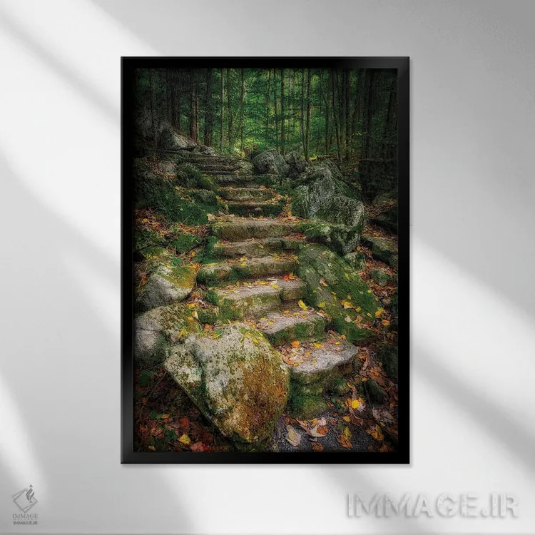 تابلو دکوراتیو Virginia, Blue Ridge Parkway,پله ها به آبشار ویگوام، ویرجینیا… اثر آنا میلر - نمای قابدار مشکی