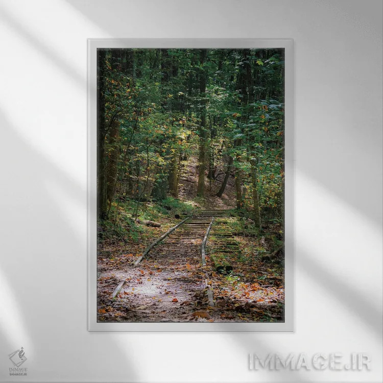 تابلو دکوراتیو Virginia, Blue Ridge Parkway,آبشار ویگوام، ویرجینیا، پارک وی ب… اثر آنا میلر - نمای قابدار سفید