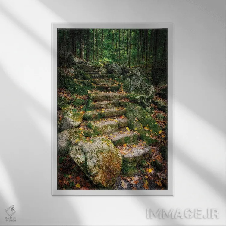 تابلو دکوراتیو Virginia, Blue Ridge Parkway,پله ها به آبشار ویگوام، ویرجینیا… اثر آنا میلر - نمای قابدار سفید