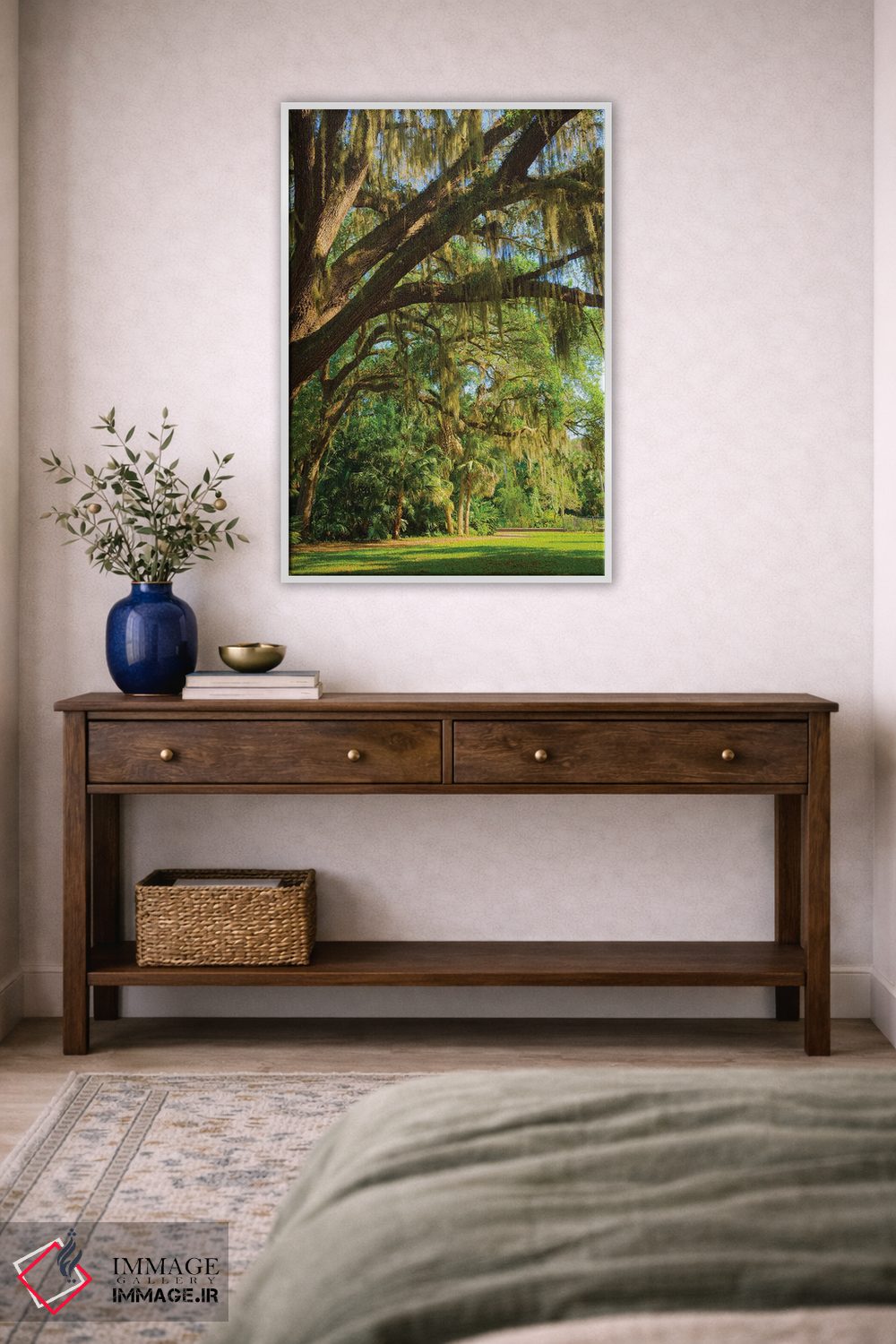 تابلو دکوراتیو Florida. Tropical garden with palm trees and living oak covere… اثر آنا میلر - D2W