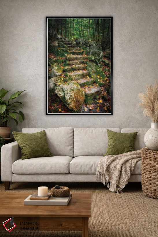 تابلو دکوراتیو Virginia, Blue Ridge Parkway,پله ها به آبشار ویگوام، ویرجینیا… اثر آنا میلر - D1B
