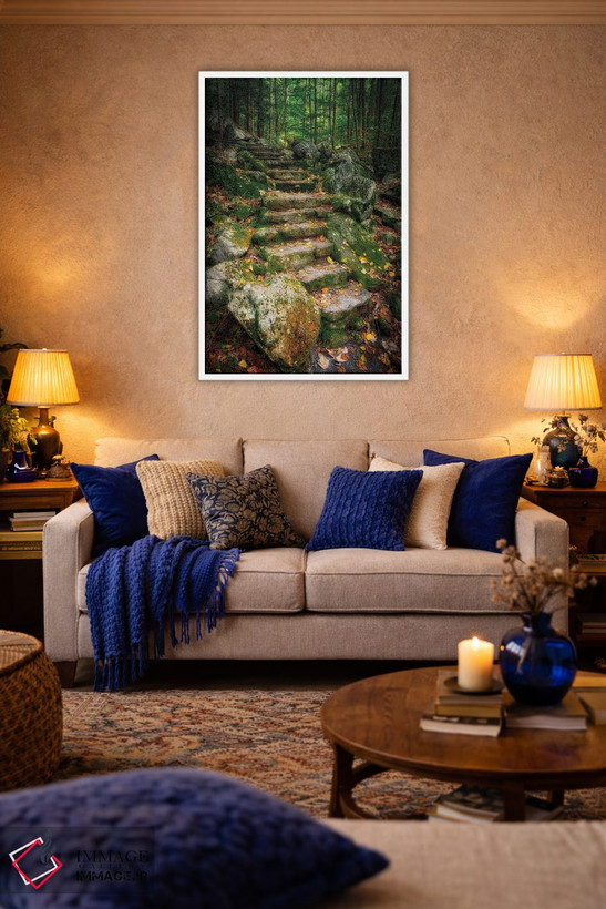 تابلو دکوراتیو Virginia, Blue Ridge Parkway,پله ها به آبشار ویگوام، ویرجینیا… اثر آنا میلر - D2W