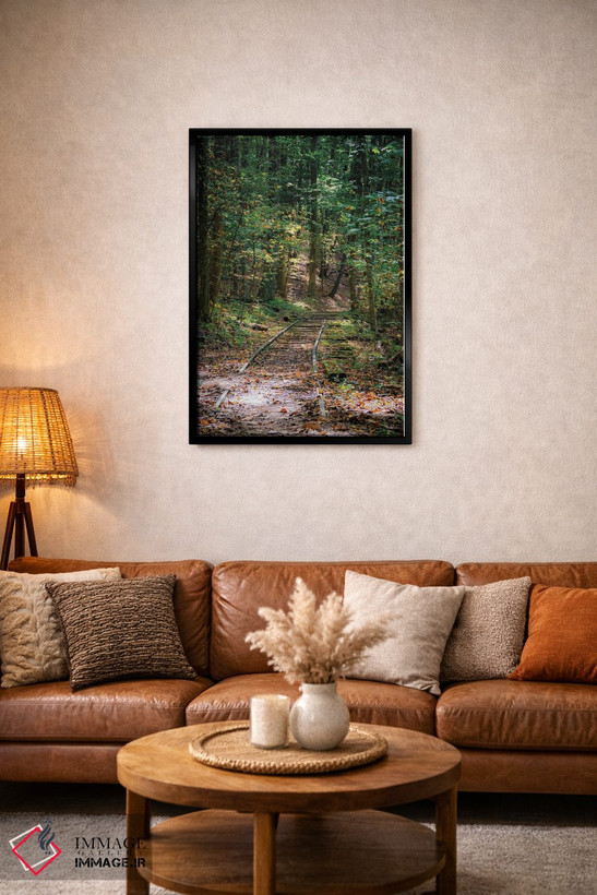 تابلو دکوراتیو Virginia, Blue Ridge Parkway,آبشار ویگوام، ویرجینیا، پارک وی ب… اثر آنا میلر - D4B