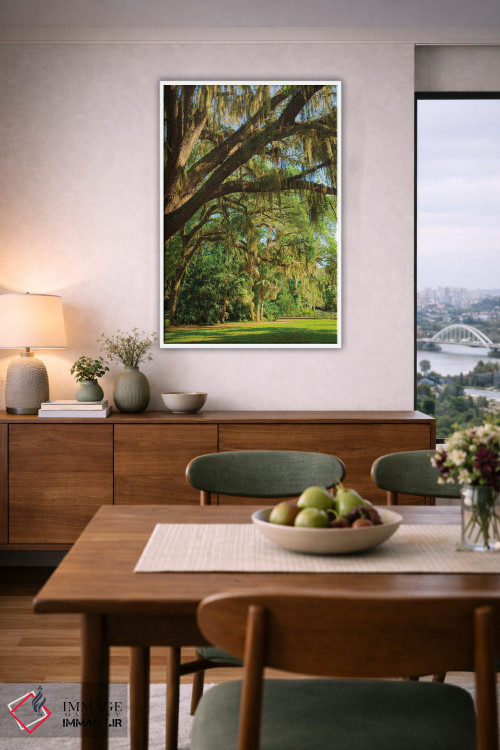 تابلو دکوراتیو Florida. Tropical garden with palm trees and living oak covere… اثر آنا میلر - D5W