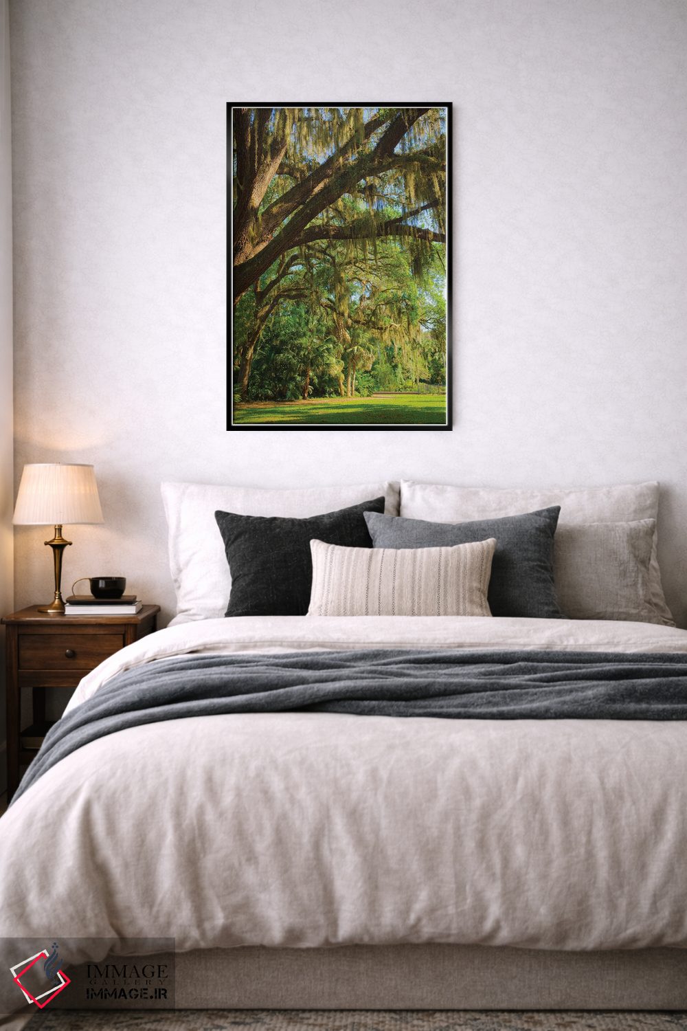 تابلو دکوراتیو Florida. Tropical garden with palm trees and living oak covere… اثر آنا میلر - D6B