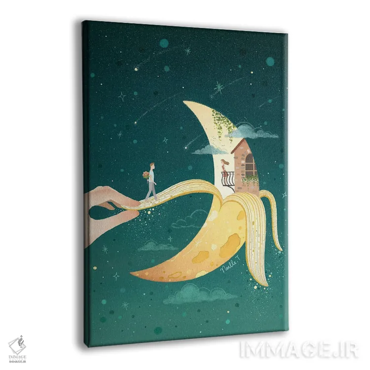 تابلو دکوراتیو جاذبه ماه اثر نوئل. تی - نمای پرسپکتیو محصول