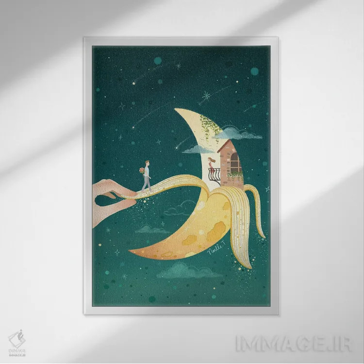 تابلو دکوراتیو جاذبه ماه اثر نوئل. تی - نمای قابدار سفید