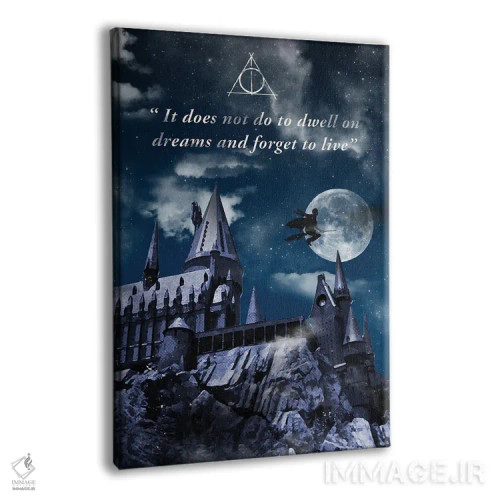 تابلو دکوراتیو هنر سفر هری پاتر اثر ۲ توست دیزاین - نمای پرسپکتیو محصول
