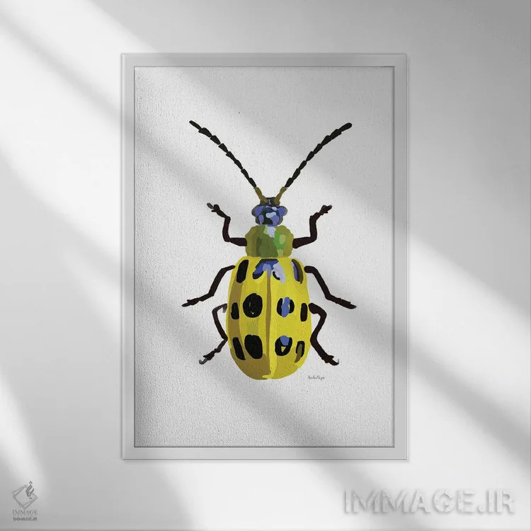 تابلو مینیمال سوسک اثر آملیا نویز - نمای قابدار سفید