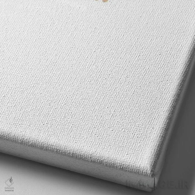 تابلو مینیمال بولداگ فرانسوی اثر آملیا نویز - نمای نزدیک بافت بوم