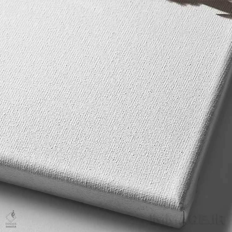 تابلو مینیمال لحظه آرامش بخش اثر آملیا نویز - نمای نزدیک بافت بوم