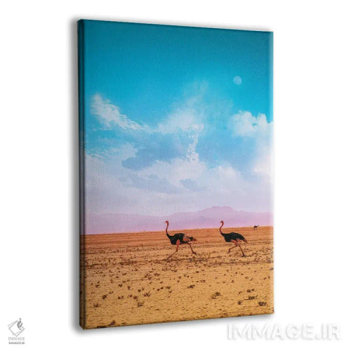 تابلو دکوراتیو دویدن در صحرا اثر نیـرز فوتوگرافی - نمای پرسپکتیو محصول