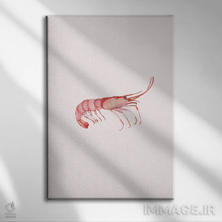 تابلو مینیمال میگو اثر آملیا نویز - نمای روبهرو روی دیوار