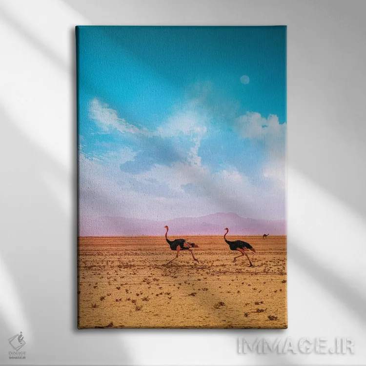 تابلو دکوراتیو دویدن در صحرا اثر نیـرز فوتوگرافی - نمای روبهرو روی دیوار