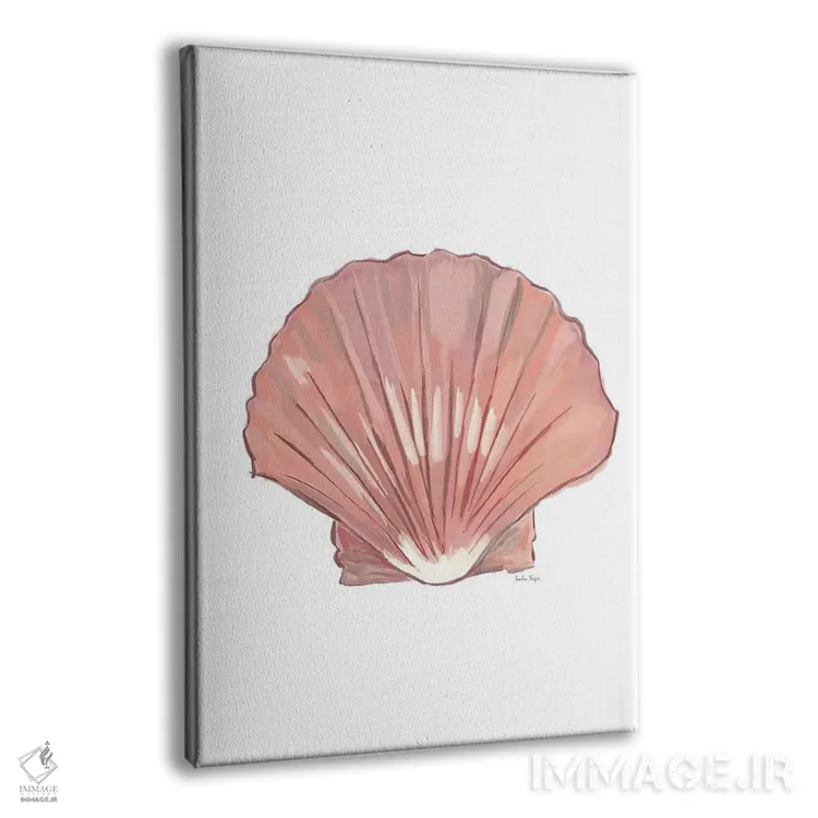 تابلو مینیمال صدف دریایی اثر آملیا نویز - نمای پرسپکتیو محصول