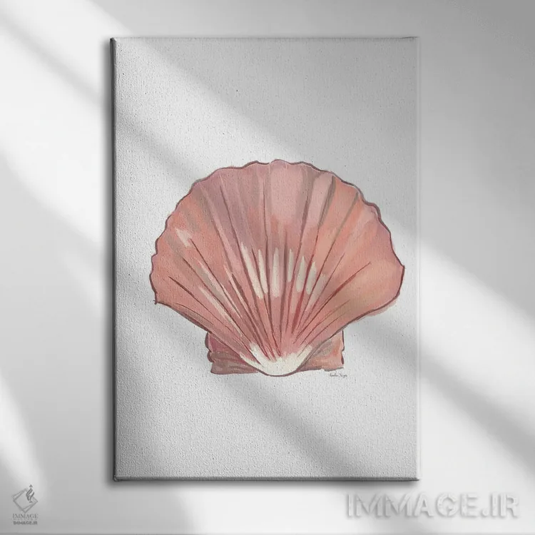 تابلو مینیمال صدف دریایی اثر آملیا نویز - نمای روبهرو روی دیوار
