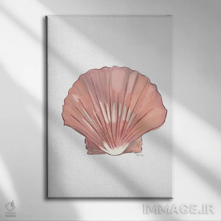 تابلو مینیمال صدف دریایی اثر آملیا نویز - نمای روبهرو روی دیوار
